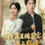 我靠直播鉴宝走上巅峰（直播鉴宝绣花鞋开局）